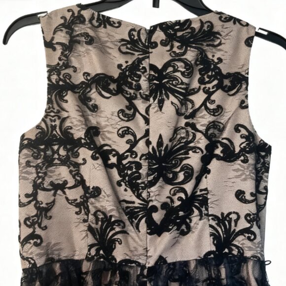 Jessica Howard Sleeveless Layered Lace Dress Women’s size 4 Petite - Picture 1 of 4
